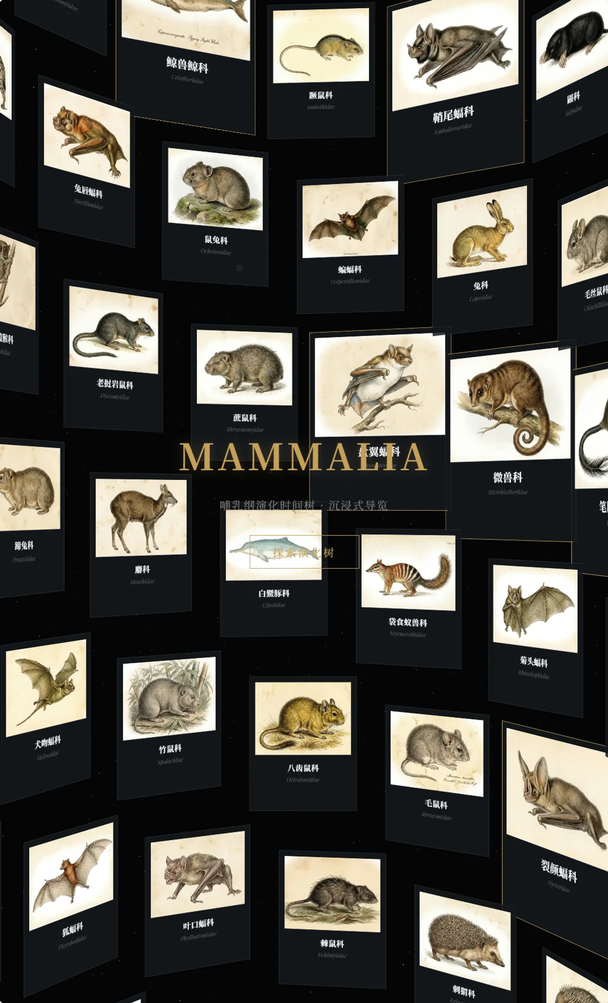DeepTime Mammalia 的 3D 螺旋画廊界面